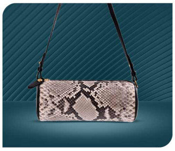 Pencil Case - Python