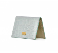 Cardholder Nacre - Light Green