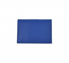 Cardholder SPL - Blue