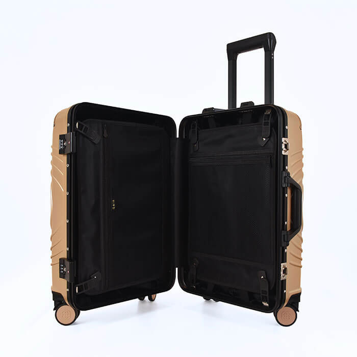Carry On Luggage - Gold