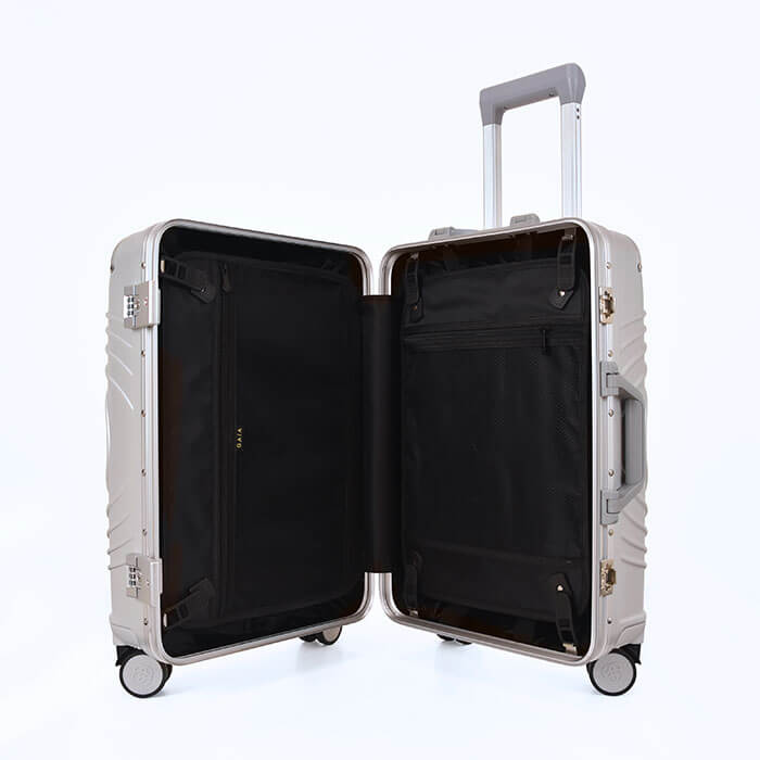 Carry On Luggage - Silver