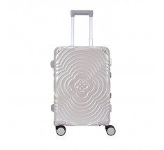 Carry On Luggage - Silver