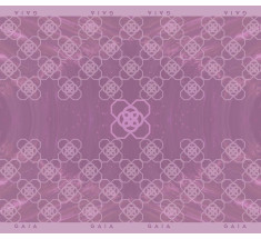 Arabesque Pink