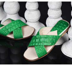 Shoes Classic - Green